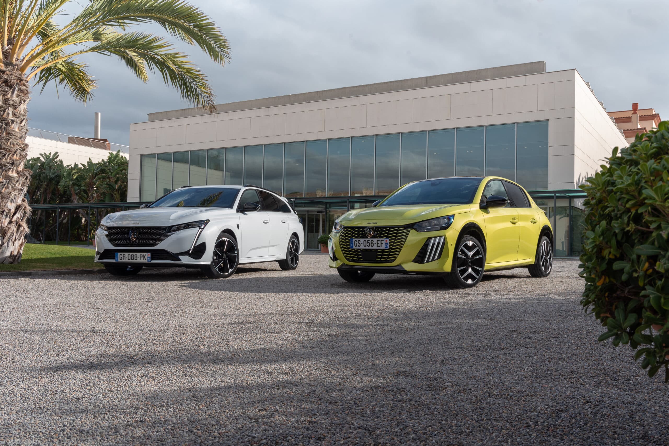 f19def4f-7034-429a-81e0-823383a15806